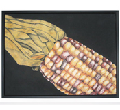 corn