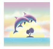 dolphin sunset